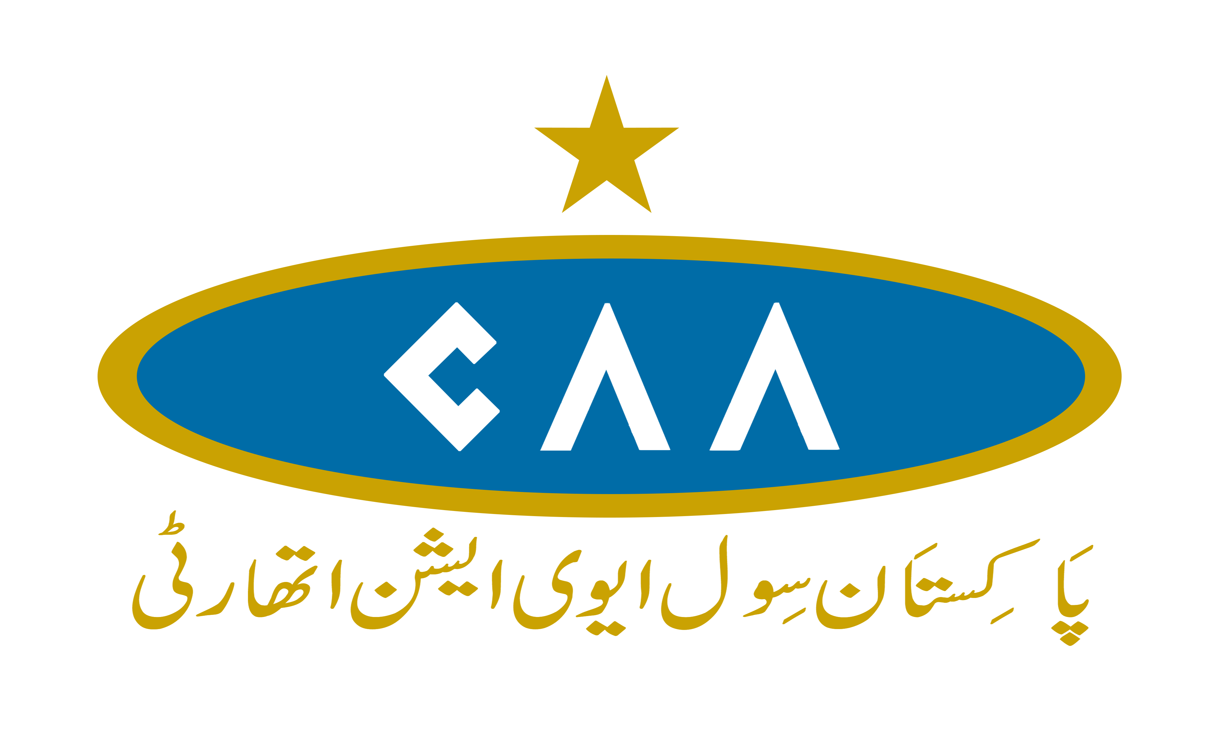 Civil Aviation Authority
